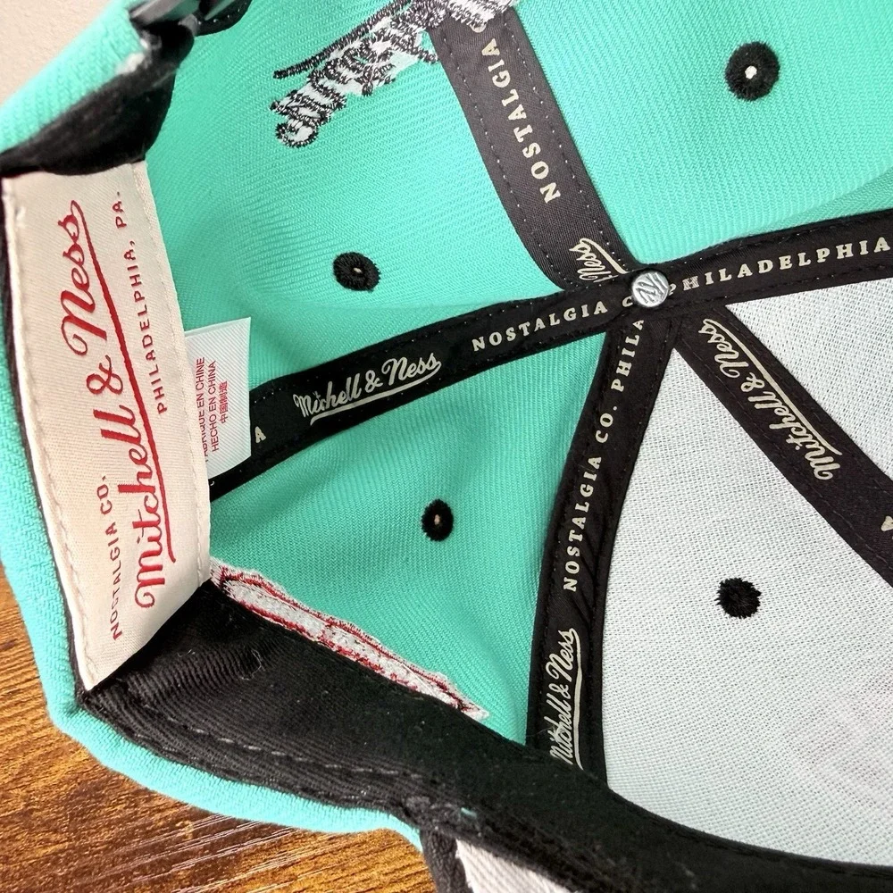 Mitchell & Ness Vancouver Grizzlies Snapback Hat Hardwood Classics NBA Teal